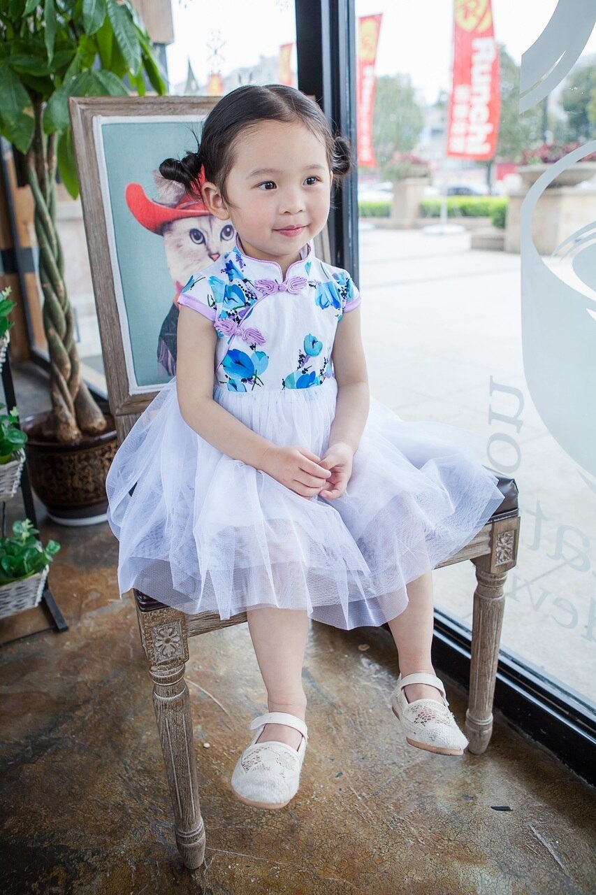 Girls Purple Tutu Cheongsam Dress